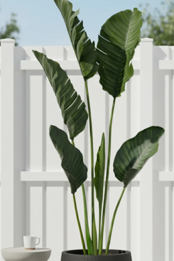 Image of Outdoor Traveller Palm in Easington Pot - 195cm