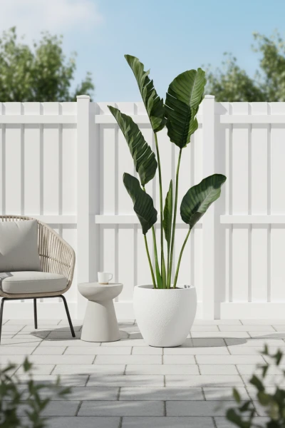 Image of Outdoor Traveller Palm in Easington Pot - 195cm