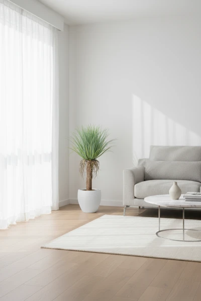 Image of Cycas Palm in Pot - 95cm