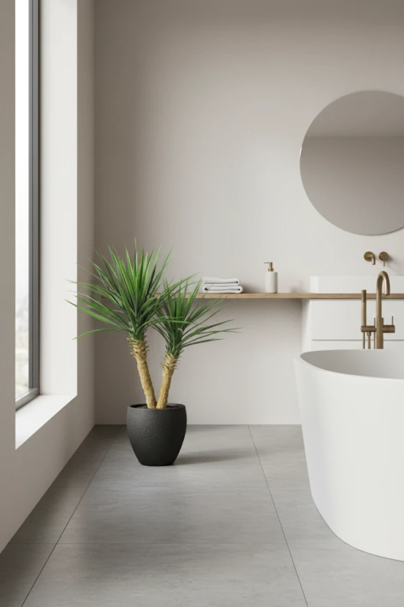 Image of Yucca in Pot - 100cm