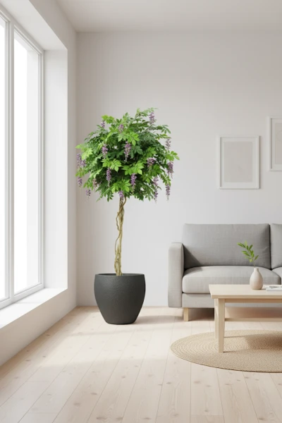 Image of Wisteria Tree in Pot - 210cm