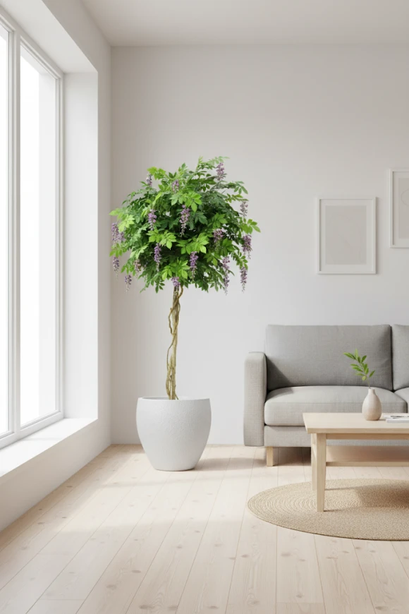 Image of Wisteria Tree in Pot - 210cm