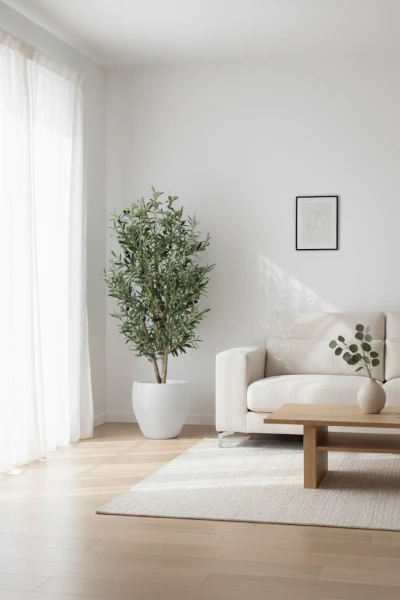 Image of Olive Tree in Pot - 150cm