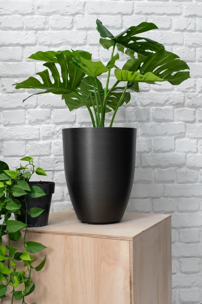 Image of Buxley Pot, Charcoal - Small