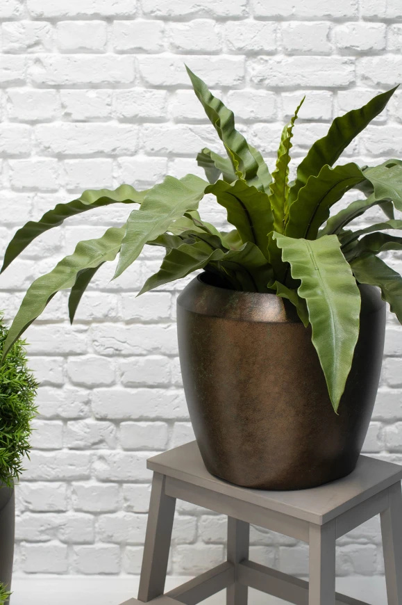 Image of Earl Dumpy Pot, Mocha - Small