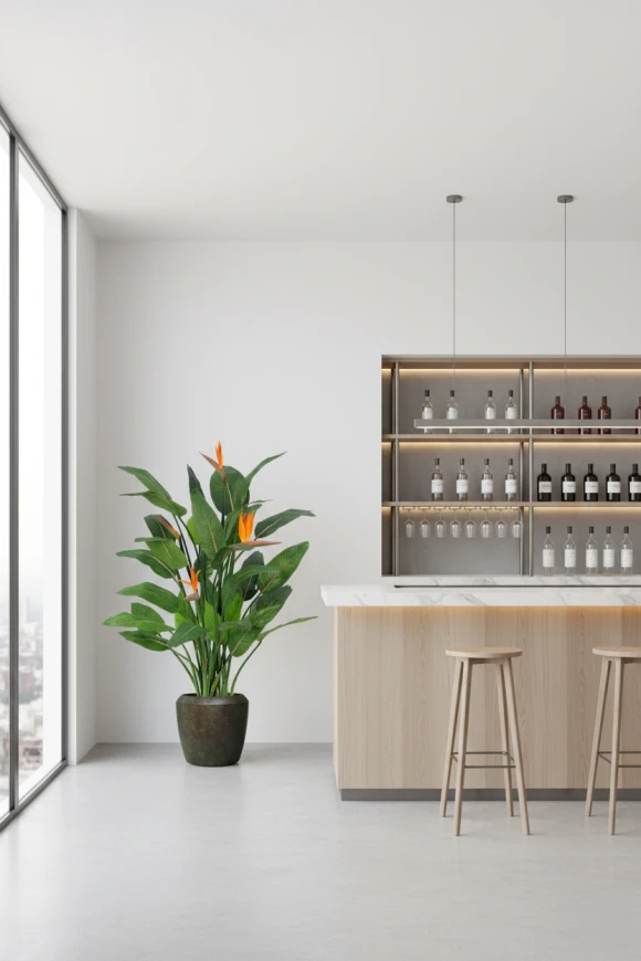 Image of Flowering Bird of Paradise in Earle Dumpy Pot - 120cm