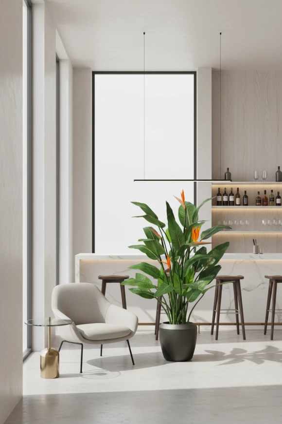 Image of Flowering Bird of Paradise in Earle Dumpy Pot - 120cm