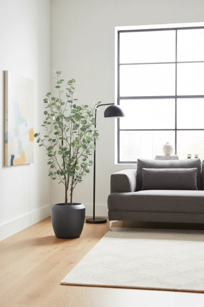 Image of Eucalyptus Tree in Earle Dumpy Pot - 180cm