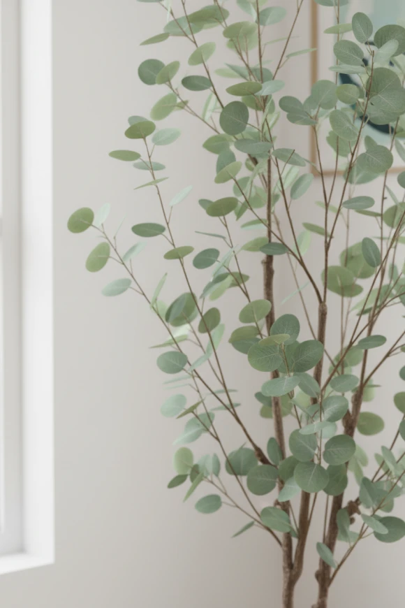 Image of Eucalyptus Tree in Earle Dumpy Pot - 180cm