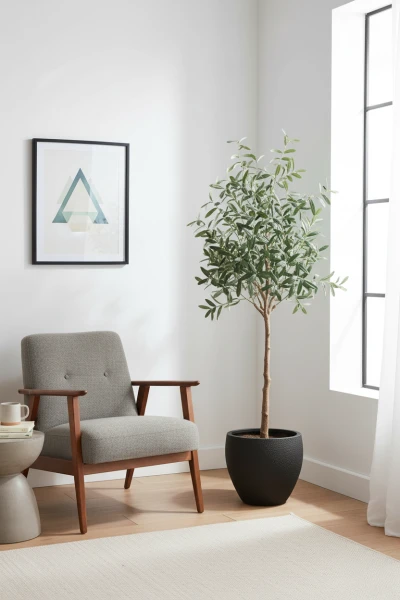 Image of Olive Tree in Easington Pot - 180cm