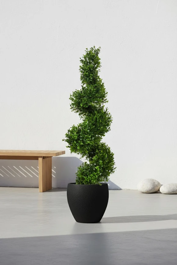 Image of Buxux Spiral in Pot Black - 90cm