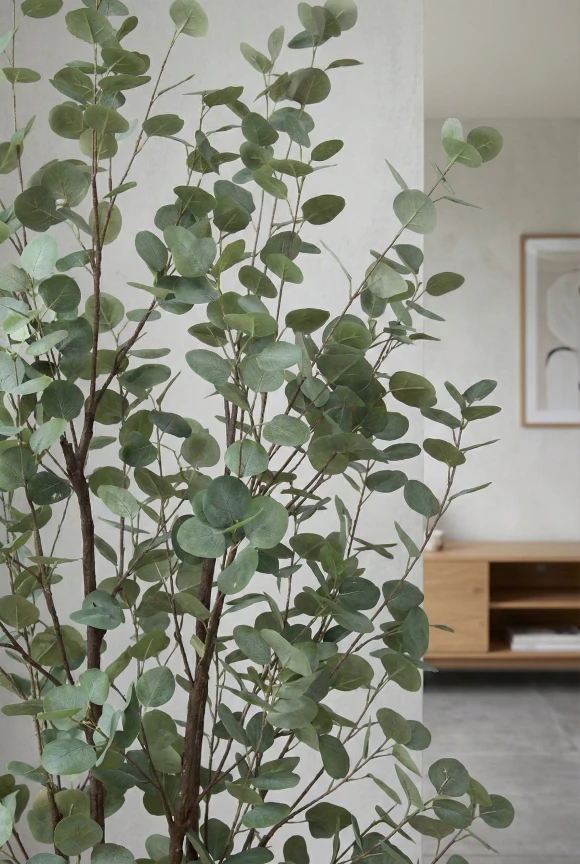 Eucalyptus Tree in Charcoal Buxley Pot - 240cm