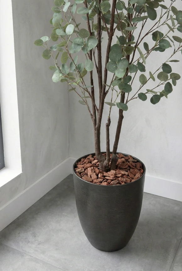 Eucalyptus Tree in Charcoal Buxley Pot - 240cm