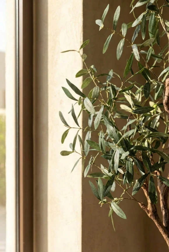 Artificial Olive Tree in Silver Buxley Pot - 180cm