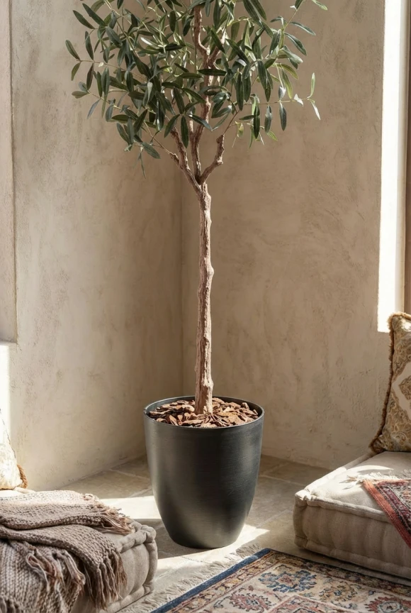 Artificial Olive Tree in Charcoal Buxley Pot - 180cm