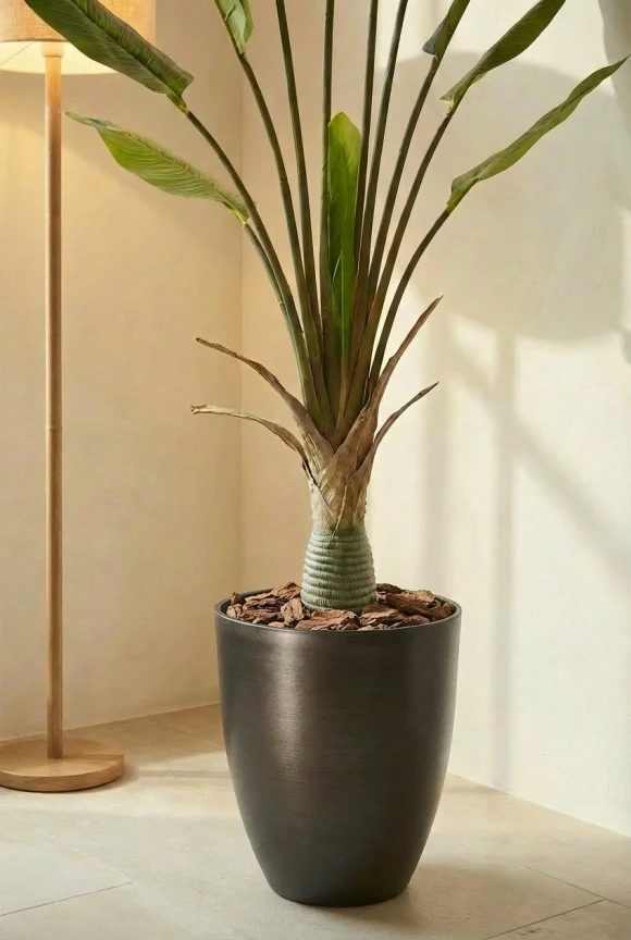 Artificial Traveller Palm in Charcoal Buxley Pot - 150cm