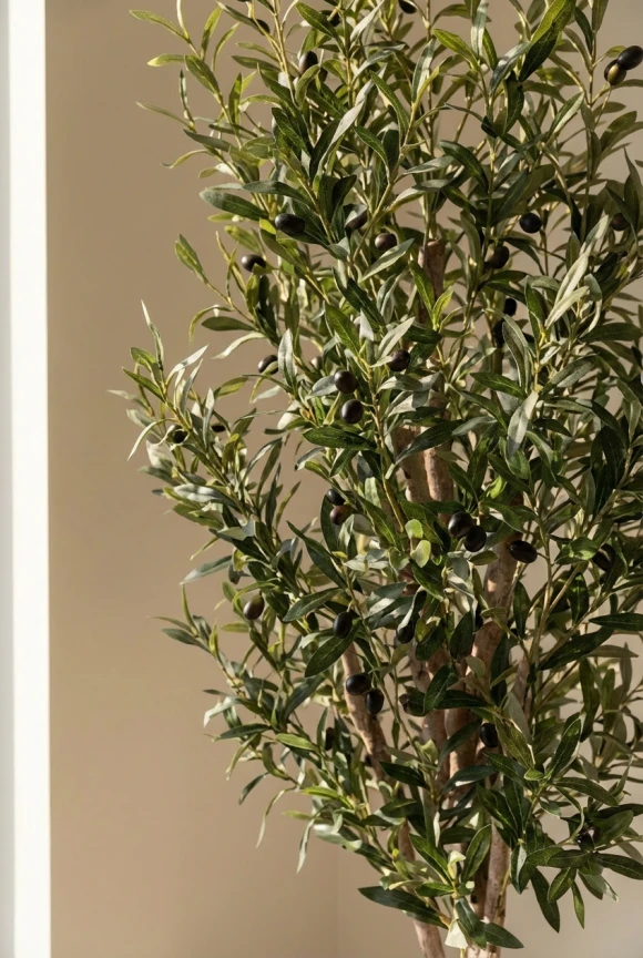 Artificial Olive Tree in Silver Buxley Pot - 150cm