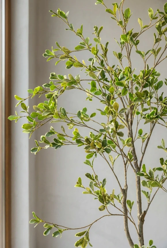 Artificial Bucida Tree in Silver Buxley Pot - 150cm