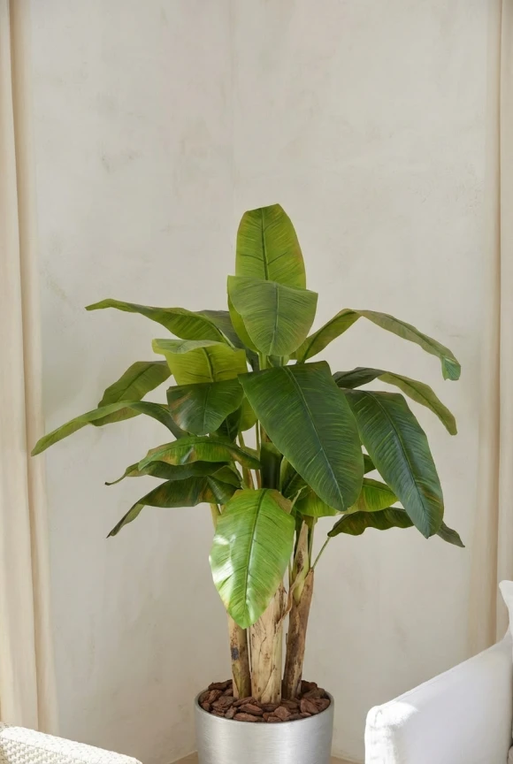 Artificial Banana Tree in Silver Buxley Pot - 140cm