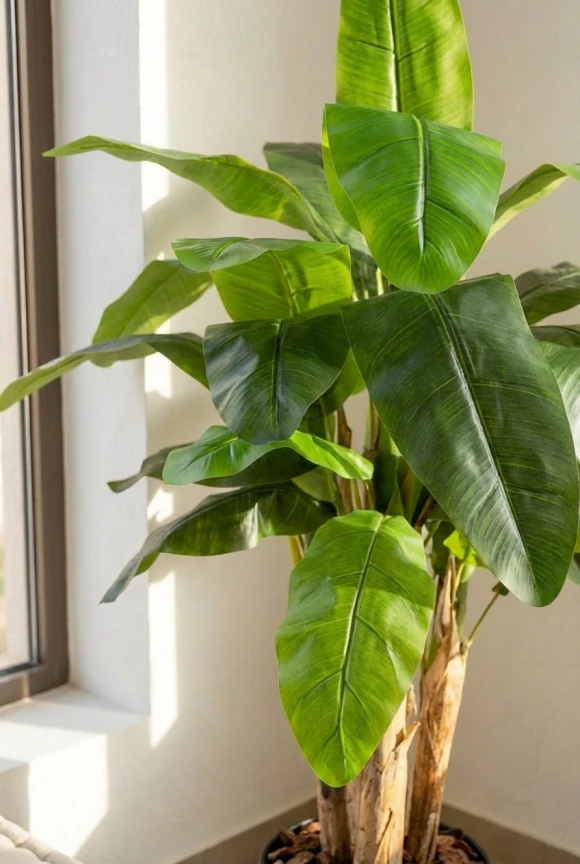 Artificial Banana Tree in Charcoal Buxley Pot - 140cm