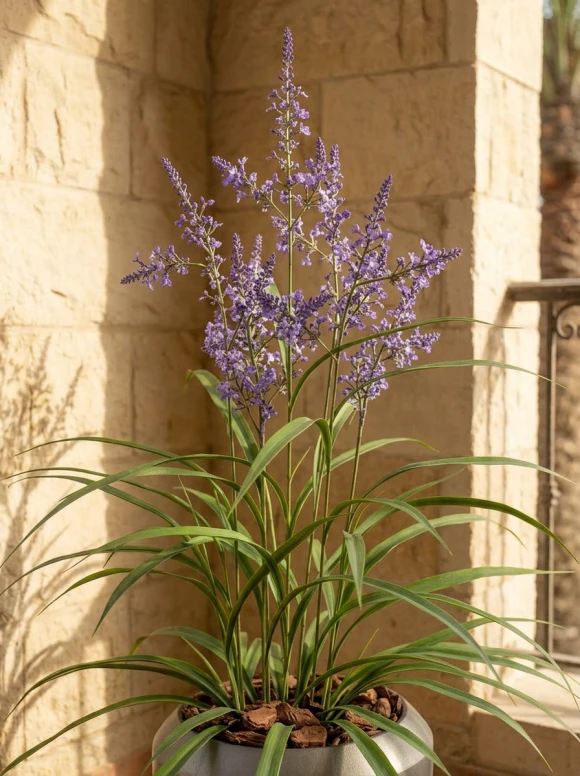 Outdoor Artificial Lavender Grass in Slate Earle Dumpy Pot - 110cm