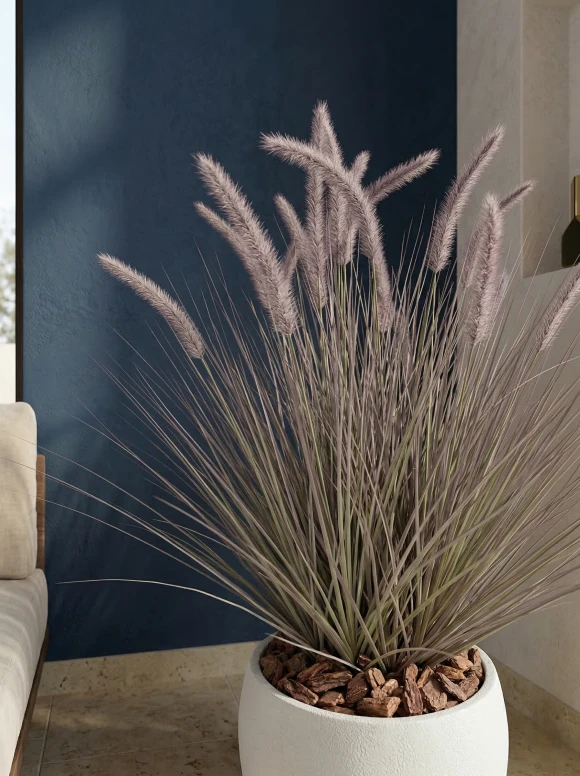 Artificial Dogtail Grass in White Easington Pot - 110cm