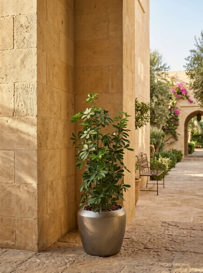 Outdoor Artificial Pittosporum in Slate Earle Dumpy Pot - 120cm