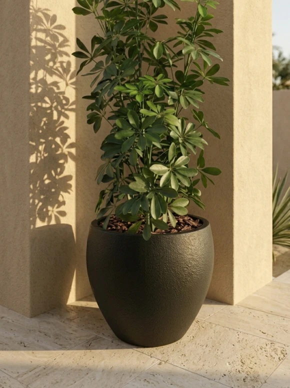 Outdoor Artificial Pittosporum in Black Easington Pot - 120cm