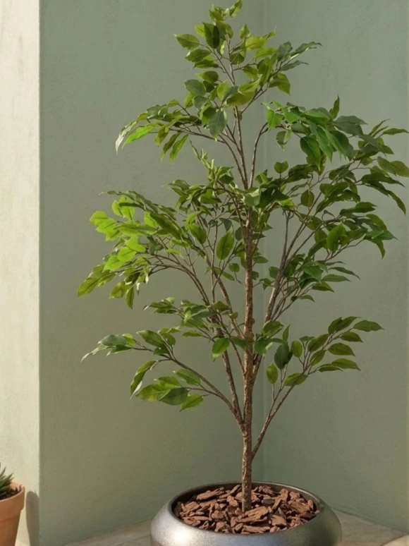 Outdoor Artificial Ficus Tree in Slate Earle Dumpy Pot - 140cm