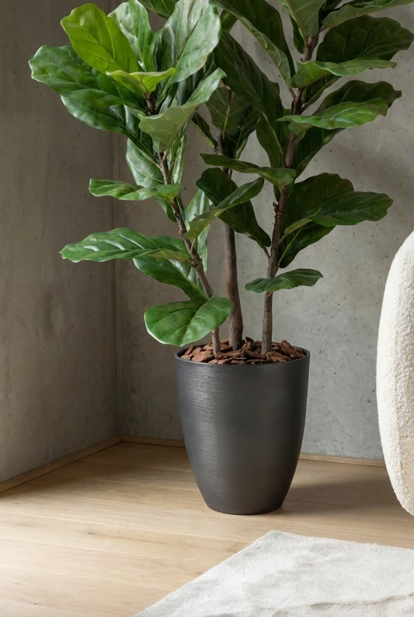 Artificial Fiddle Leaf in Charcoal Buxley Pot - 150cm