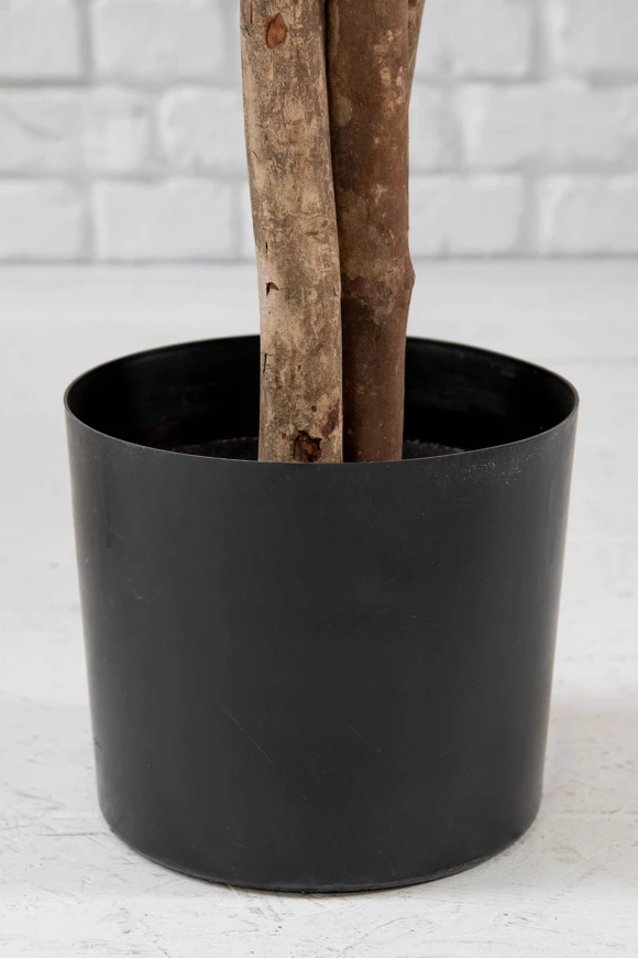 Image of Artificial Olive Tree on Natural Multi Stems - 400cm