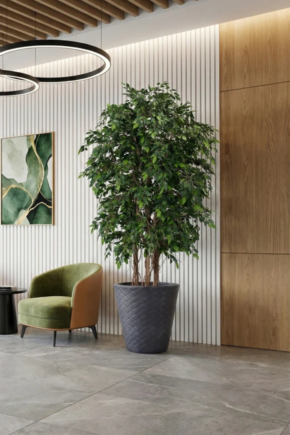 Image of Artificial Ficus Natasja on Natural Multi Stems - 250cm