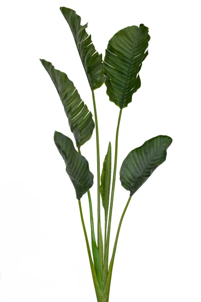 Image of Outdoor Traveller Palm - 195cm