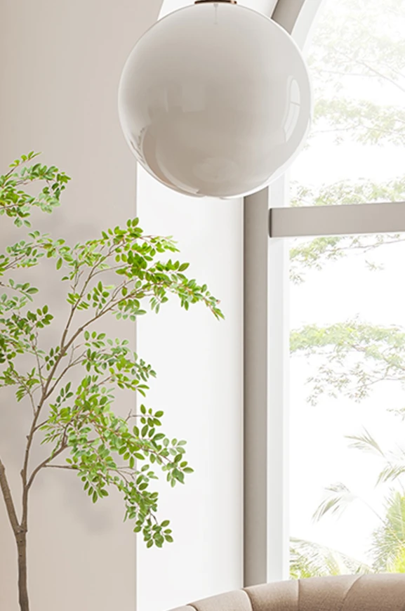 Image of Elm Tree in Pot - 250cm