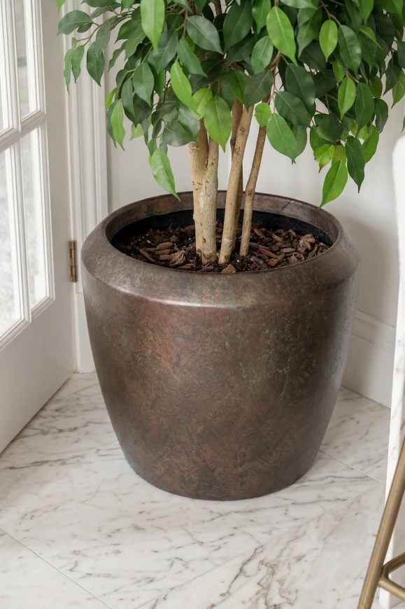 Image of Artificial Ficus Double Ball in Mocha Dumpy  - 185cm
