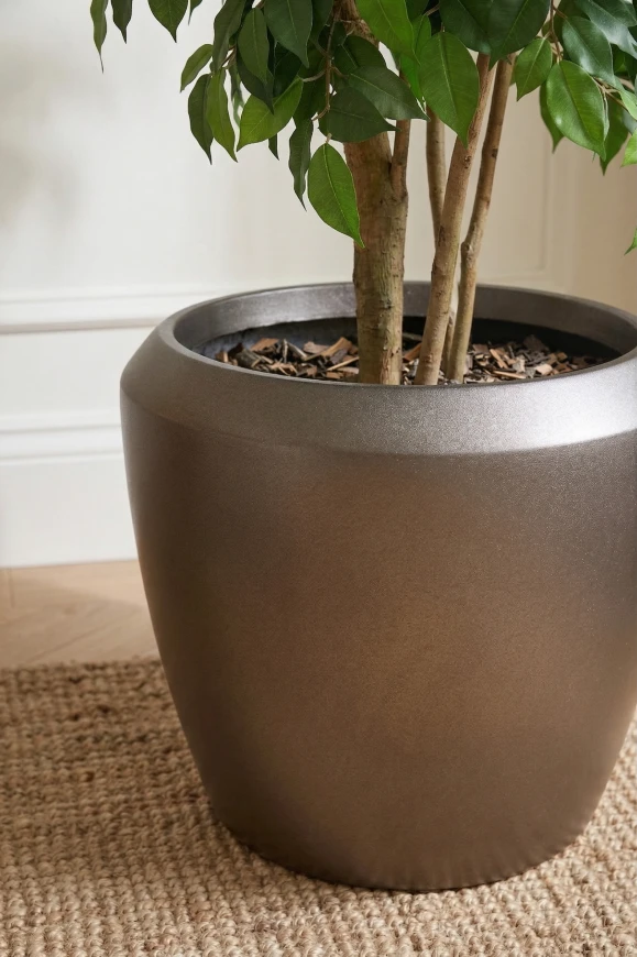 Image of Artificial Ficus Double Ball in Slate Dumpy  - 185cm