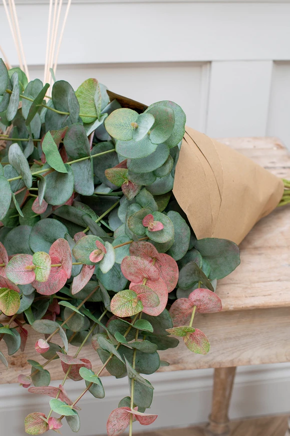 Image of Artificial Eucalyptus Bundle - 100cm