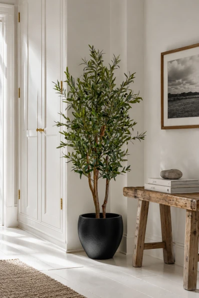 Artificial olive tree in a hallway 