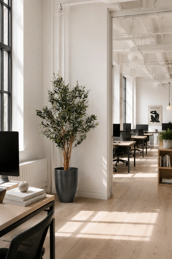 Artificial olive tree installed in an office environment