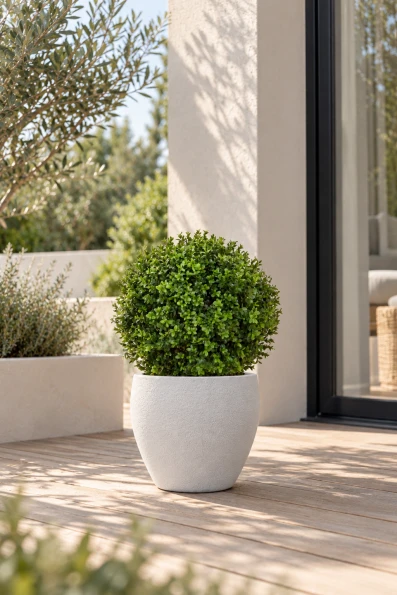 Image of UV Colourfast Artificial Buxus Ball in White Easington Pot - 50cm