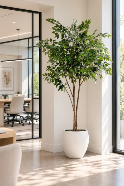 Image of Artificial Ficus Tree in White Easington Pot - 210cm