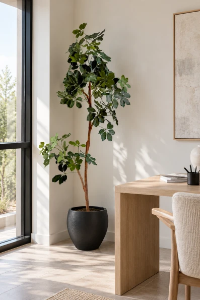 Image of Artificial Schefflera Tree in Black Easington Pot - 210cm