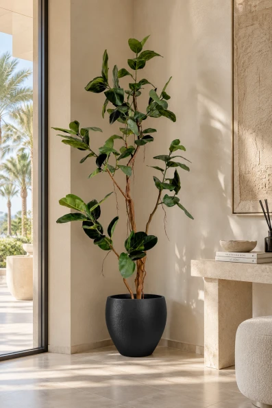 Image of Artificial Ficus Audrey Tree in Black Easington Pot - 210cm
