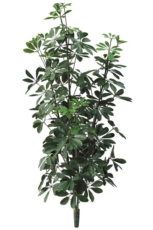 Image of Outdoor Artificial Pittosporum Bush - 107cm
