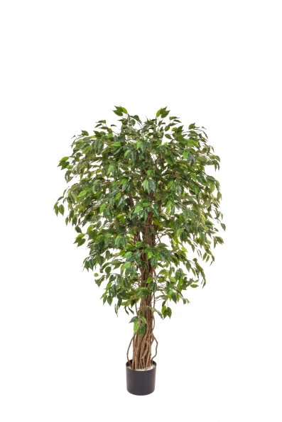 Artificial Ficus Liana - 150cm