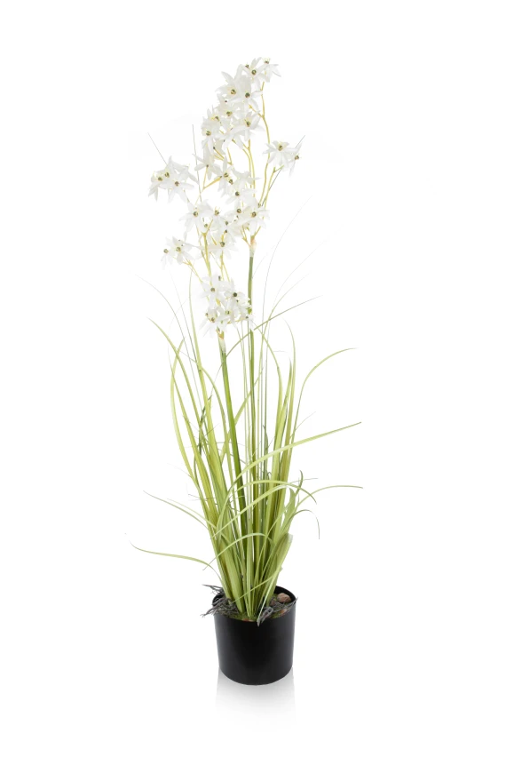 Image of Artificial Allium Grass - 110cm