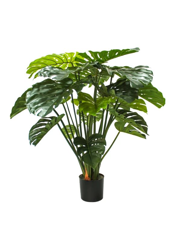 Image of Monstera - 120cm