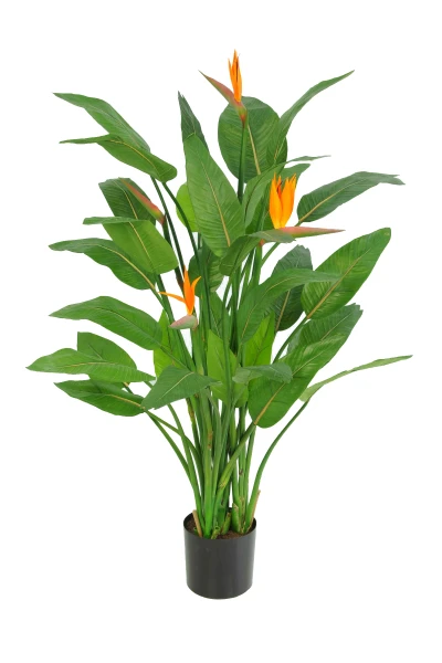 Image of Flowering Bird of Paradise - 120cm