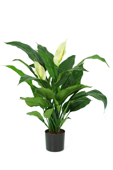 Artificial Peace Lily - 70cm