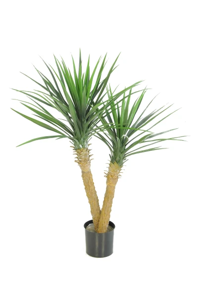 Image of Yucca - 100cm